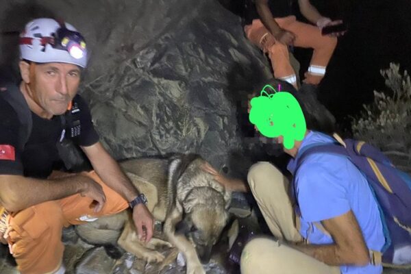 Dağlık alanda kaybolan kişi kurtarıldı